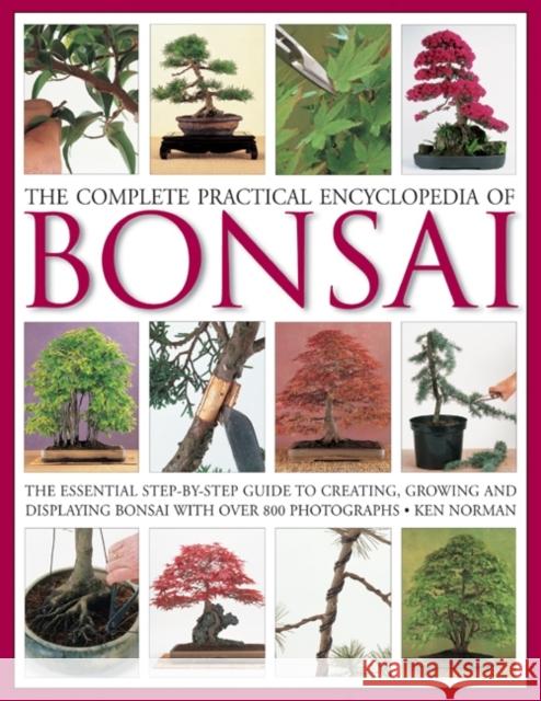 Complete Practical Encyclopedia of Bonsai Ken Norman 9780754821809 Anness Publishing - książka