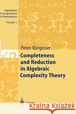 Completeness and Reduction in Algebraic Complexity Theory Peter Burgisser 9783540667520 Springer - książka