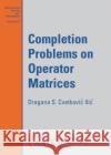 Completion Problems on Operator Matrices Dragana S. Cvetkovic Ilic 9781470469870 American Mathematical Society