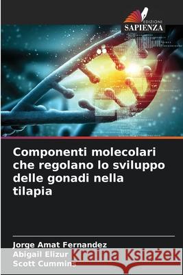 Componenti molecolari che regolano lo sviluppo delle gonadi nella tilapia Jorge Ama Abigail Elizur Scott Cummins 9786207529216 Edizioni Sapienza - książka