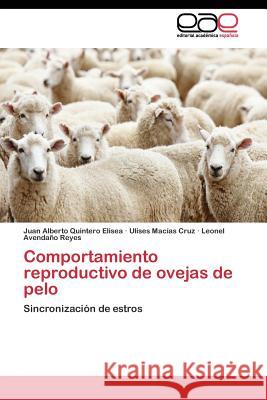 Comportamiento reproductivo de ovejas de pelo Quintero Elisea Juan Alberto 9783844344158 Editorial Academica Espanola - książka