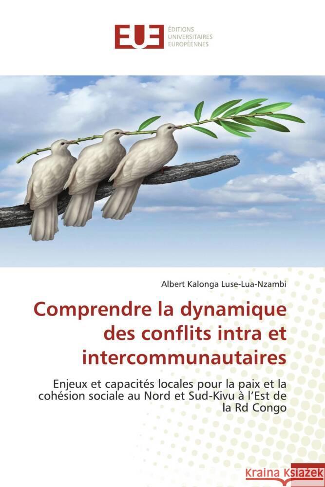 Comprendre la dynamique des conflits intra et intercommunautaires Kalonga Luse-Lua-Nzambi, Albert 9786202537315 Éditions universitaires européennes - książka