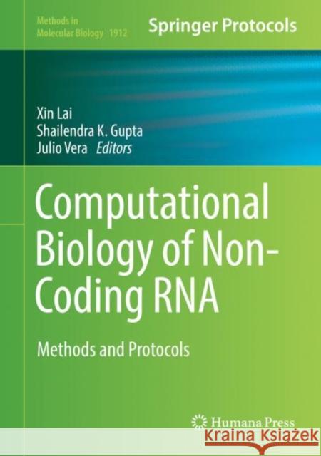 Computational Biology of Non-Coding RNA: Methods and Protocols Lai, Xin 9781493989812 Humana Press - książka