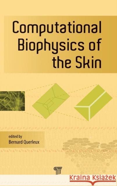 Computational Biophysics of the Skin Bernard Querleux 9789814463843 Pan Stanford Publishing - książka