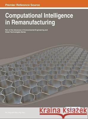 Computational Intelligence in Remanufacturing Bo Xing Wen-Jing Gao 9781466649088 Information Science Reference - książka