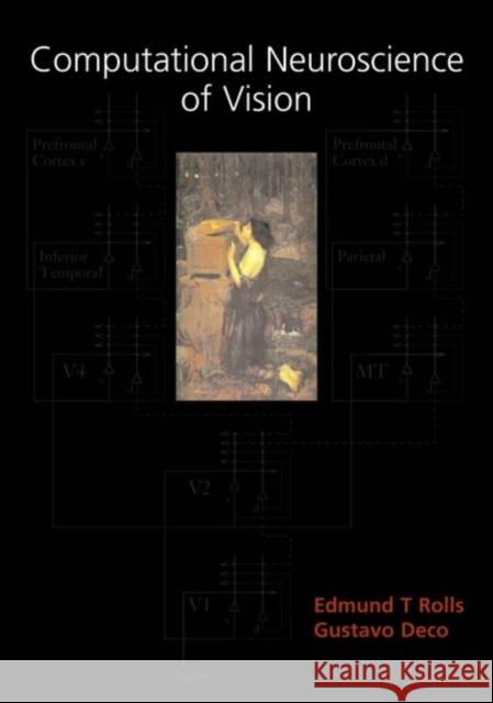 Computational Neuroscience of Vision Edmund Rolls Gustavo Deco Gustavo Deco 9780198524885 Oxford University Press - książka