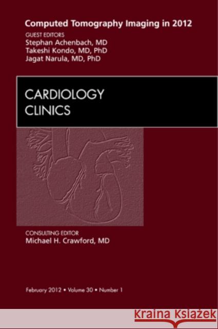 Computed Tomography Imaging in 2012, an Issue of Cardiology Clinics: Volume 30-1 Narula, Jagat 9781455738373 W.B. Saunders Company - książka