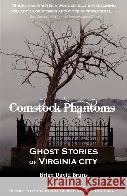 Comstock Phantoms: Ghost Stories of Virginia City Brian David Bruns 9780974521718 World Waters - książka