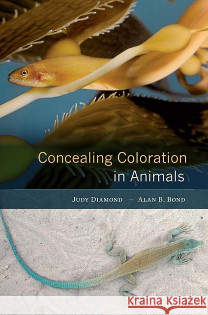 Concealing Coloration in Animals Judy Diamond 9780674052352  - książka