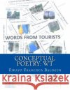 Conceptual Poetry: WT: Words from Tourists Fikayo Francisca Balogun 9781503309883 Createspace
