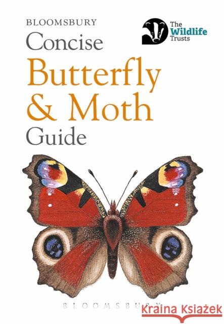 Concise Butterfly and Moth Guide  9781472963772 Bloomsbury Publishing PLC - książka