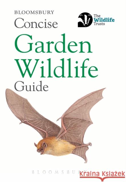 Concise Garden Wildlife Guide Bloomsbury 9781472966643 Bloomsbury Publishing PLC - książka