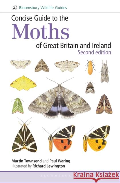 Concise Guide to the Moths of Great Britain and Ireland: Second edition Dr Paul Waring 9781472957283 Bloomsbury Wildlife - książka