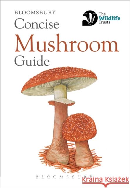 Concise Mushroom Guide Bloomsbury 9781472963789 Bloomsbury Publishing PLC - książka