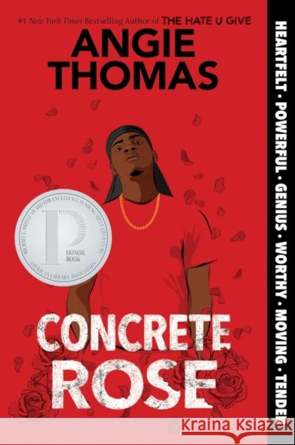 Concrete Rose Angie Thomas 9780062846723 Balzer & Bray/Harperteen - książka