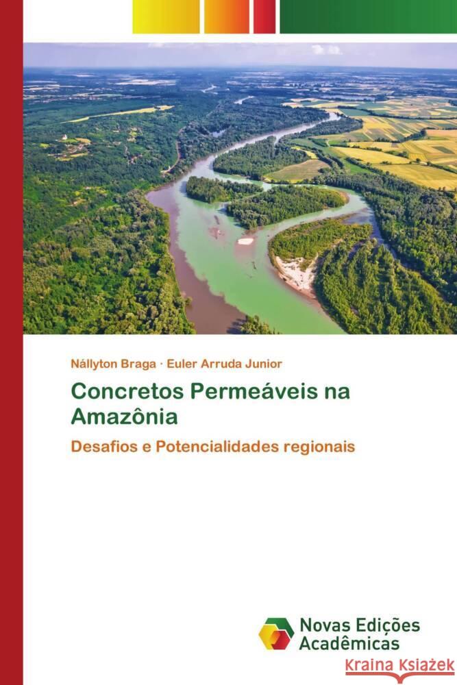 Concretos Permeáveis na Amazônia Braga, Nállyton, Arruda Junior, Euler 9786139792498 Novas Edições Acadêmicas - książka