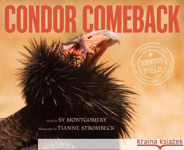Condor Comeback Sy Montgomery Tianne Strombeck 9780544816534 Houghton Mifflin - książka