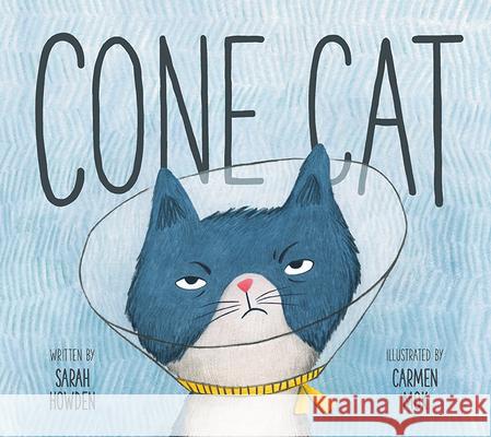 Cone Cat  9781771473613 Owlkids - książka