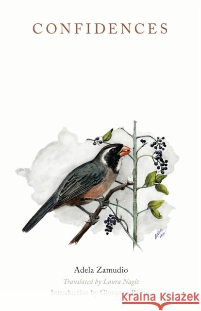 Confidences Adela Zamudi Laura Nagle Giovanna Rivero 9781684486052 Bucknell University Press - książka