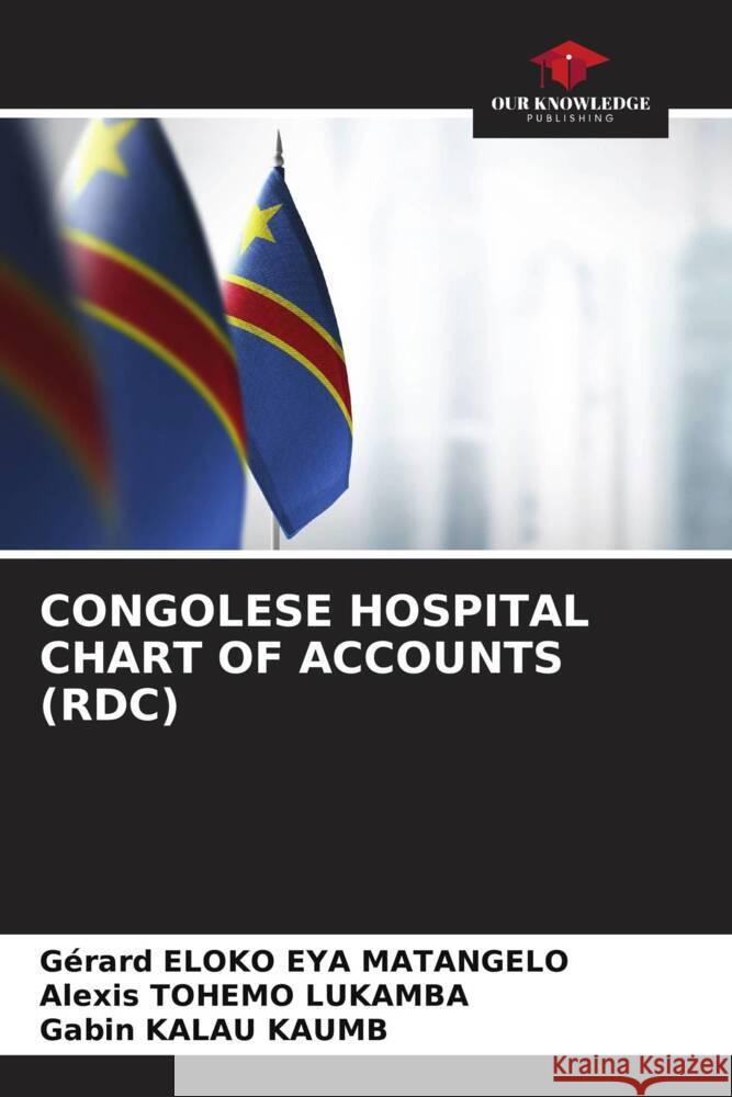 Congolese Hospital Chart of Accounts (Rdc) G?rard Elok Alexis Tohem Gabin Kala 9786207071579 Our Knowledge Publishing - książka