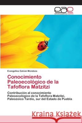 Conocimiento Paleoecológico de la Tafoflora Matzitzi Galván Mendoza, Evangelina 9786202140867 Editorial Académica Española - książka
