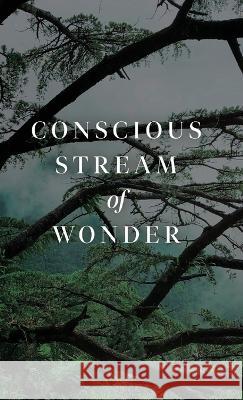 Conscious Stream of Wonder Kirstie Bolitho 9781685835897 Tablo Pty Ltd - książka