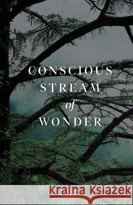 Conscious Stream of Wonder Kirstie Bolitho 9781685835903 Tablo Pty Ltd - książka