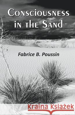 Consciousness in the Sand Fabrice B Poussin   9788196202651 Cyberwit.Net - książka