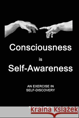 Consciousness is Self-Awareness: An Exercise in Self-Discovery Panzo, Shannon 9780648784807 Newsblaze.com Pty. Ltd. - książka