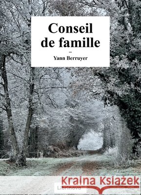 Conseil de famille Berruyer, Yann 9791040534372 Librinova - książka