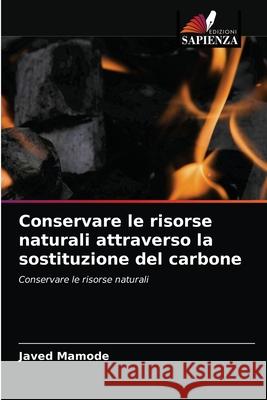 Conservare le risorse naturali attraverso la sostituzione del carbone Javed Mamode 9786203595628 Edizioni Sapienza - książka