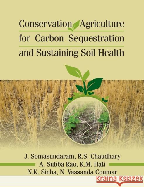 Conservation Agriculture for Carbon Sequestration and Sustainaing Soil Health J. Somasundaram 9789383305322 Nipa - książka