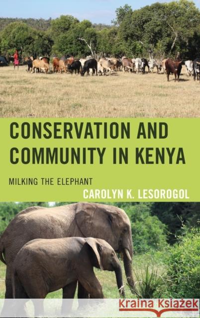 Conservation and Community in Kenya: Milking the Elephant Lesorogol, Carolyn K. 9781793650290 ROWMAN & LITTLEFIELD pod - książka