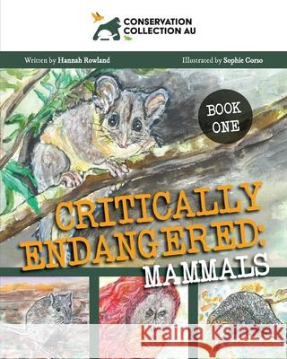 Conservation Collection AU - Critically Endangered: Mammals Hannah Rowland Sophie Corso 9781922368706 Moshpit Publishing - książka