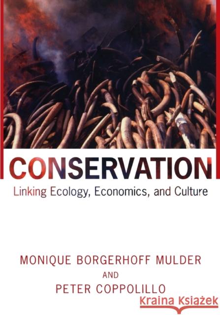 Conservation: Linking Ecology, Economics, and Culture Borgerhoff Mulder, Monique 9780691049809  - książka