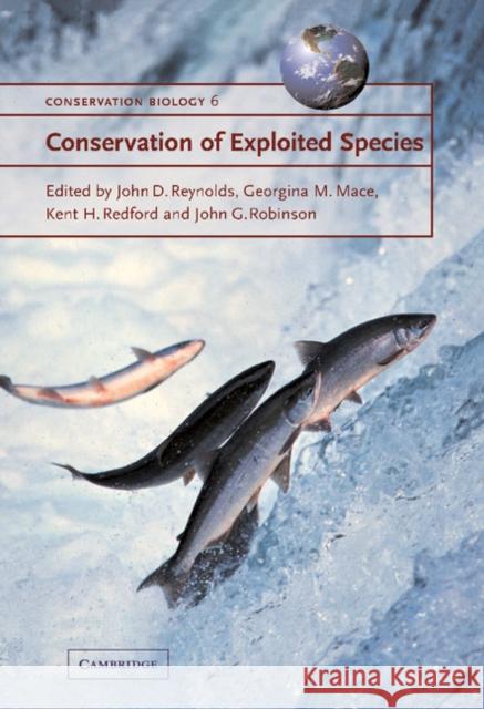 Conservation of Exploited Species  9780521782166 CAMBRIDGE UNIVERSITY PRESS - książka