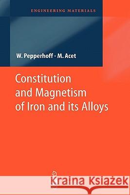 Constitution and Magnetism of Iron and Its Alloys Pepperhoff, Werner 9783642076305 Springer - książka