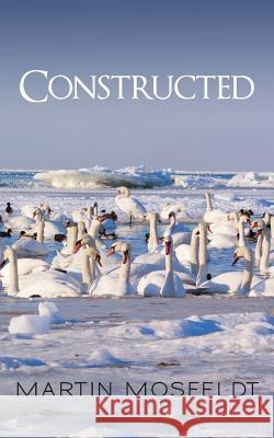 Constructed Martin Mosfeldt 9781482777239 Createspace - książka