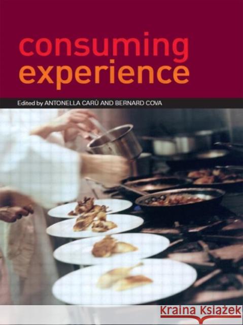 Consuming Experience Antonella Caru Bernard Cova 9780415382434 Routledge - książka