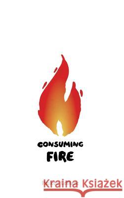 Consuming Fire Paulette LeBlanc 9781532667626 Resource Publications (CA) - książka