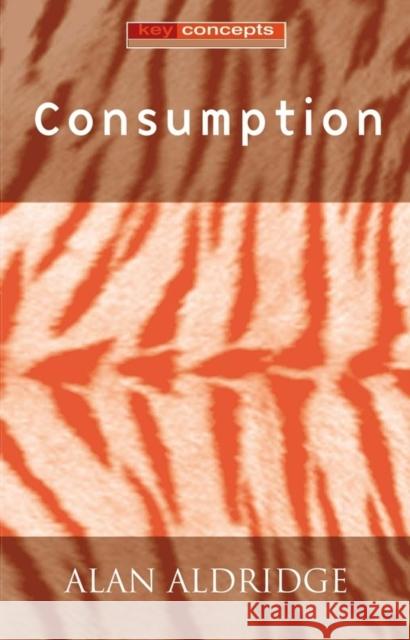 Consumption Alan Aldridge 9780745625294 Polity Press - książka