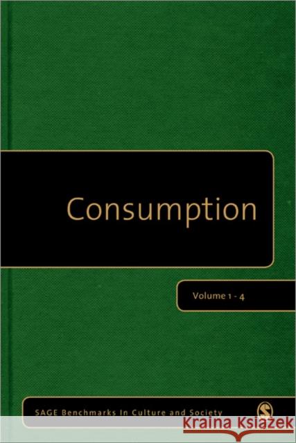 Consumption Alan Warde 9781848606333  - książka