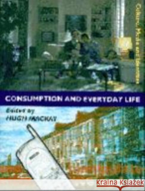 Consumption and Everyday Life Hugh MacKay 9780761954378 Sage Publications - książka