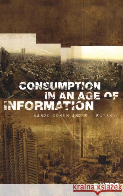 Consumption in an Age of Information Sande Cohen 9781845200886  - książka