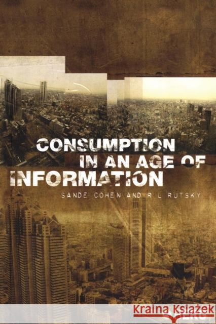 Consumption in an Age of Information Sande Cohen 9781845200893  - książka