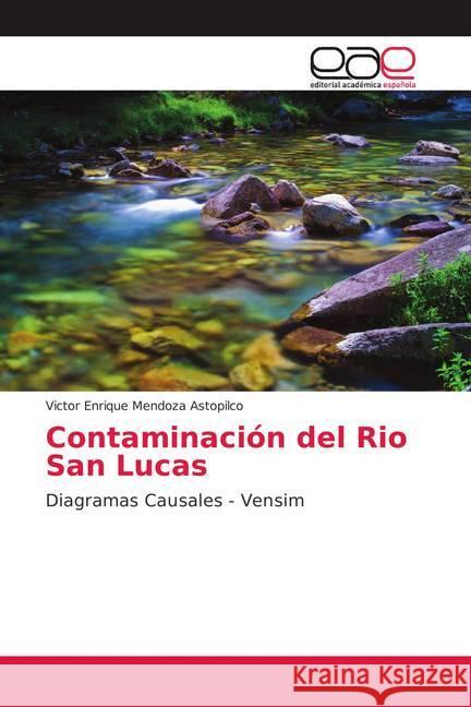 Contaminación del Rio San Lucas : Diagramas Causales - Vensim Mendoza Astopilco, Victor Enrique 9786139410651 Editorial Académica Española - książka