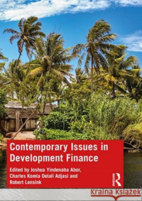 Contemporary Issues in Development Finance Joshua Yindenaba Abor Charles Koml Robert Lensink 9781138324329 Routledge - książka