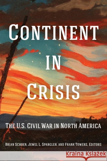 Continent in Crisis: The U.S. Civil War in North America Brian Schoen Jewel L. Spangler Frank Towers 9781531501297 Fordham University Press - książka