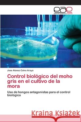 Control biológico del moho gris en el cultivo de la mora Calvo Araya, Jose Alonso 9783659023965 Editorial Academica Espanola - książka