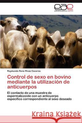 Control de sexo en bovino mediante la utilización de anticuerpos Rivas Caceres Raymundo Rene 9783844336696 Editorial Acad Mica Espa Ola - książka